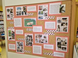 2022 08 17 bj knjiznica 2