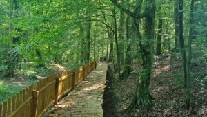 staza veliki grdevac 10