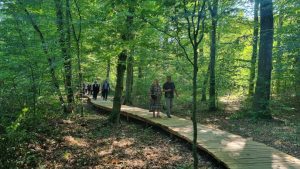 staza veliki grdevac 4