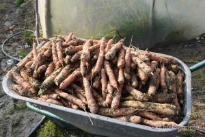 2022 10 13 opg bobinac 1