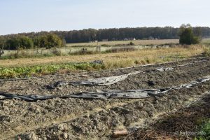 2022 10 21 opg filic 31