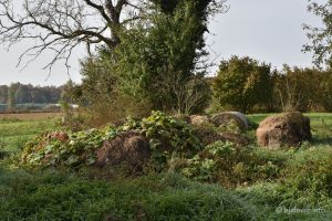 2022 10 21 opg filic 33