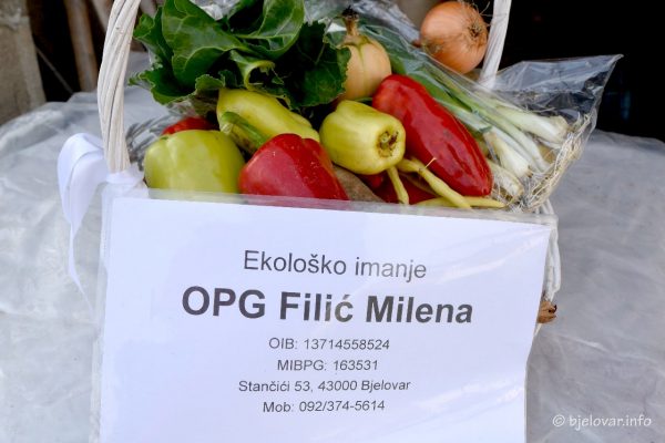 2022 10 21 opg filic 47