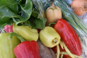 2022 10 21 opg filic 48