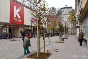 2022 11 14 bjelovar 67