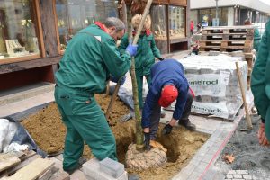 2022 11 14 bjelovar 80