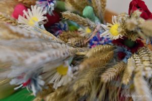 2022 11 19 ceska obec 36