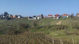 maglenca