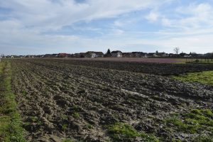 2023 03 10 inkluzija bjelovar 34