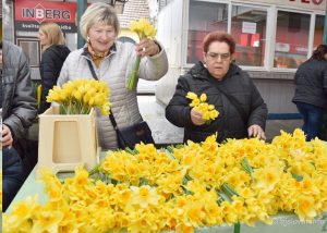 2023 03 25 dan narcisa 11