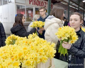 2023 03 25 dan narcisa 15