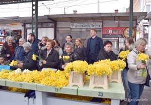 2023 03 25 dan narcisa 8