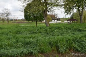 2023 04 25 patkovac 39