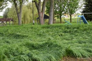 2023 04 25 patkovac 42