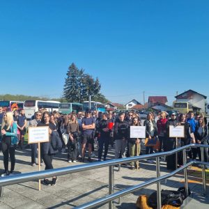 garesnica domijada 4