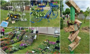 2023 05 04 GastroFlora 1