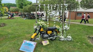 2023 05 04 GastroFlora 2