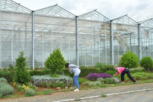 2023 05 22 lavanda 179