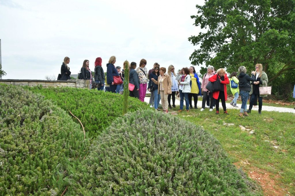 Farmaceuti s područja BBŽ-a sudjelovali na Festivalu lavande u Vodnjanu 2023 05 22 lavanda 270