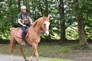 2023 05 30 dan drzavnosti 247