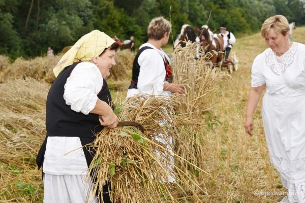 2023 07 23 zetva bbz 211