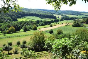 2023 08 01 bbz turizam 11