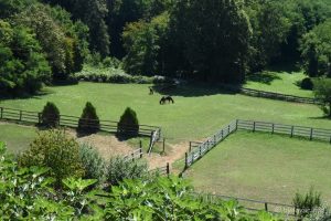 2023 08 01 bbz turizam 14