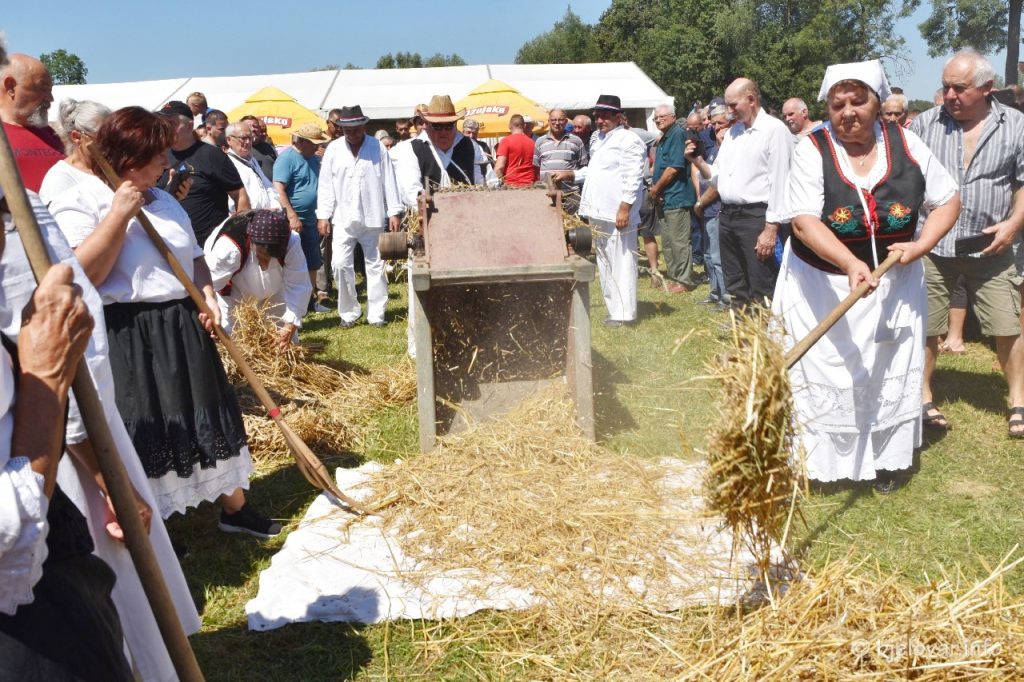 2023 08 13 plosscicko masinanje 329
