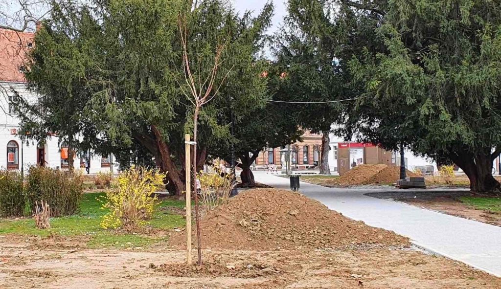 Grad Bjelovar sadnja drveca 2