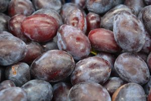 2023 09 06 trznica bjelovar 5