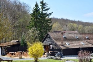 2021 04 01 maglenca 67