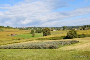 2021 09 22 veliko trojstvo 17