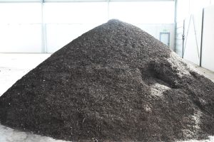 2023 10 06 kompostana 11