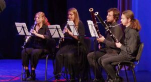 Amadeus fest Zagrebacki mladi filharmonicari 10 002