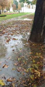 received 350063414259246