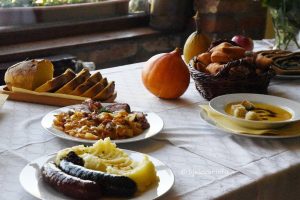 2023 11 15 okusi zavicaja 15