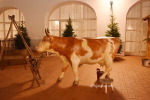 2023 11 27 bjelovar 66