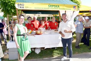 smotra manjinskog stvaralastva 2