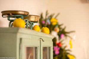 tz bilogora bjelovar 1