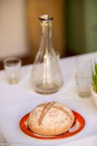 tz bilogora bjelovar 3