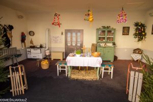 tz bilogora bjelovar 4