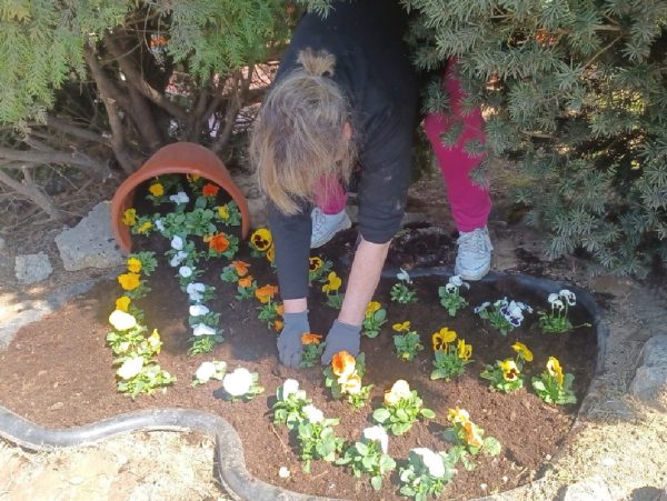 2024 03 21 rovisce 2