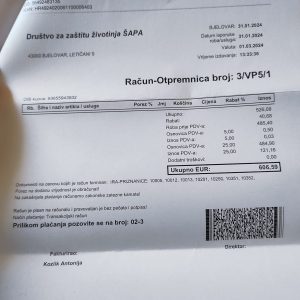 432602224 7262346437168075 1384734253697011854 n