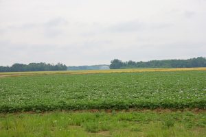 2024 05 21 puskaric 4