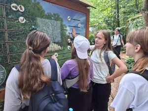 5b5cb461 c919 4c01 86e1 5c8bfdcfd618