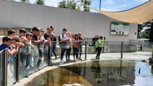 IMG 19f3f85ff8bd5cb6d7a9c2fc7999fa93 V