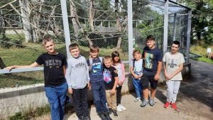 IMG 48dc49bdd17f33be6dfc19c9fb8d4606 V