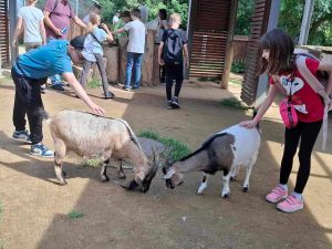 e341f0e1 21b5 4020 84fd a068ec981140