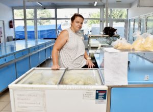 2024 07 12 strudla 1