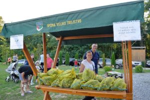 2024 07 29 kukuruz 3